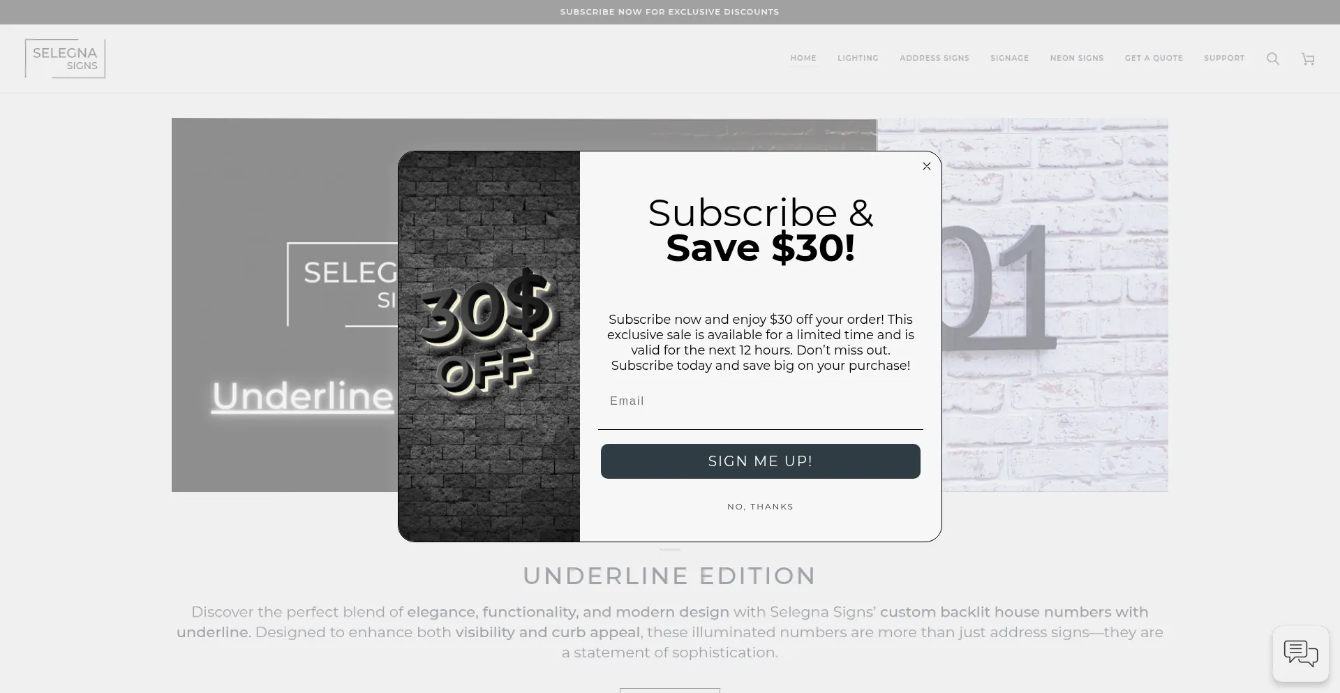Website screenshot of Selegnasigns.com