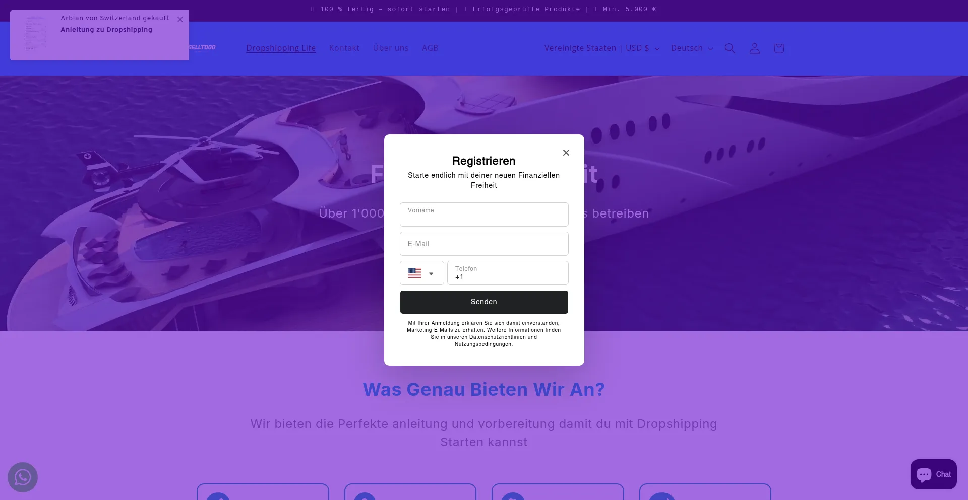 Website screenshot of Selltogo.shop