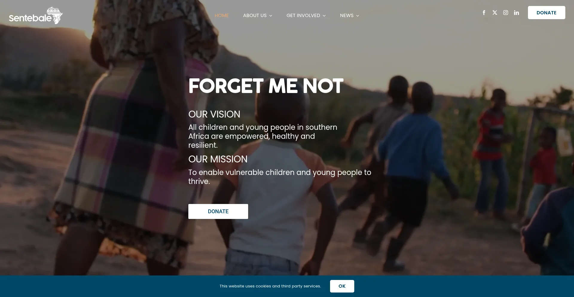 Sentebale.org Screenshot