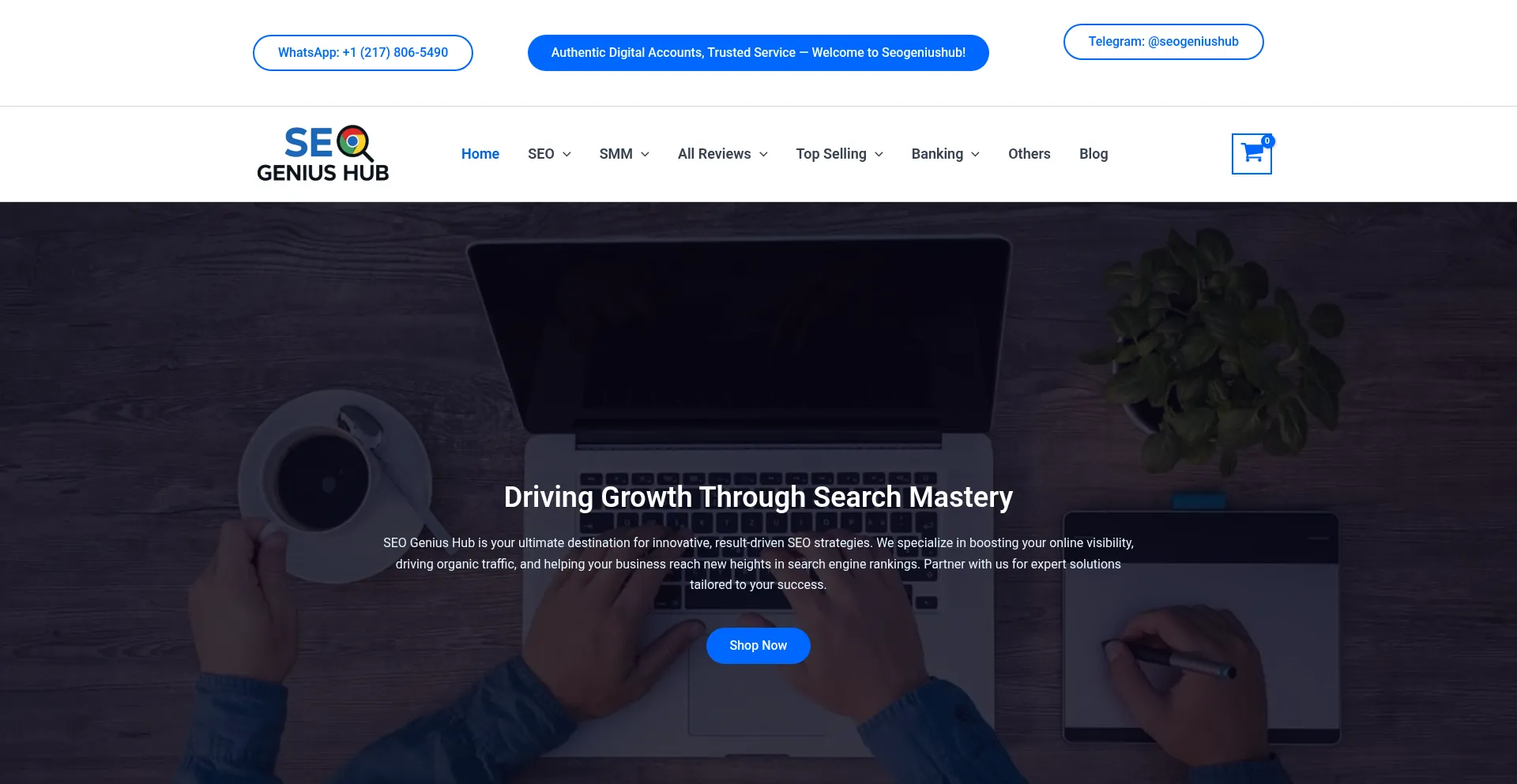Website screenshot of Seogeniushub.com