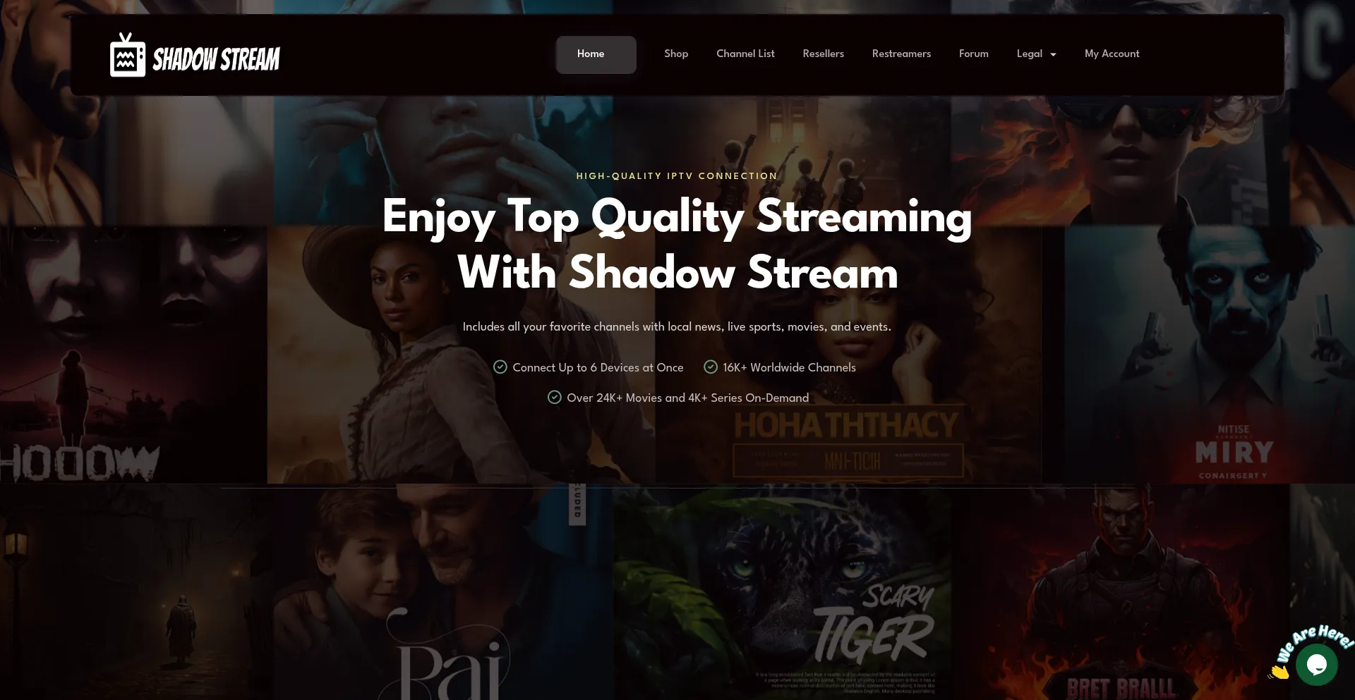 Website screenshot of Shadowstream.org