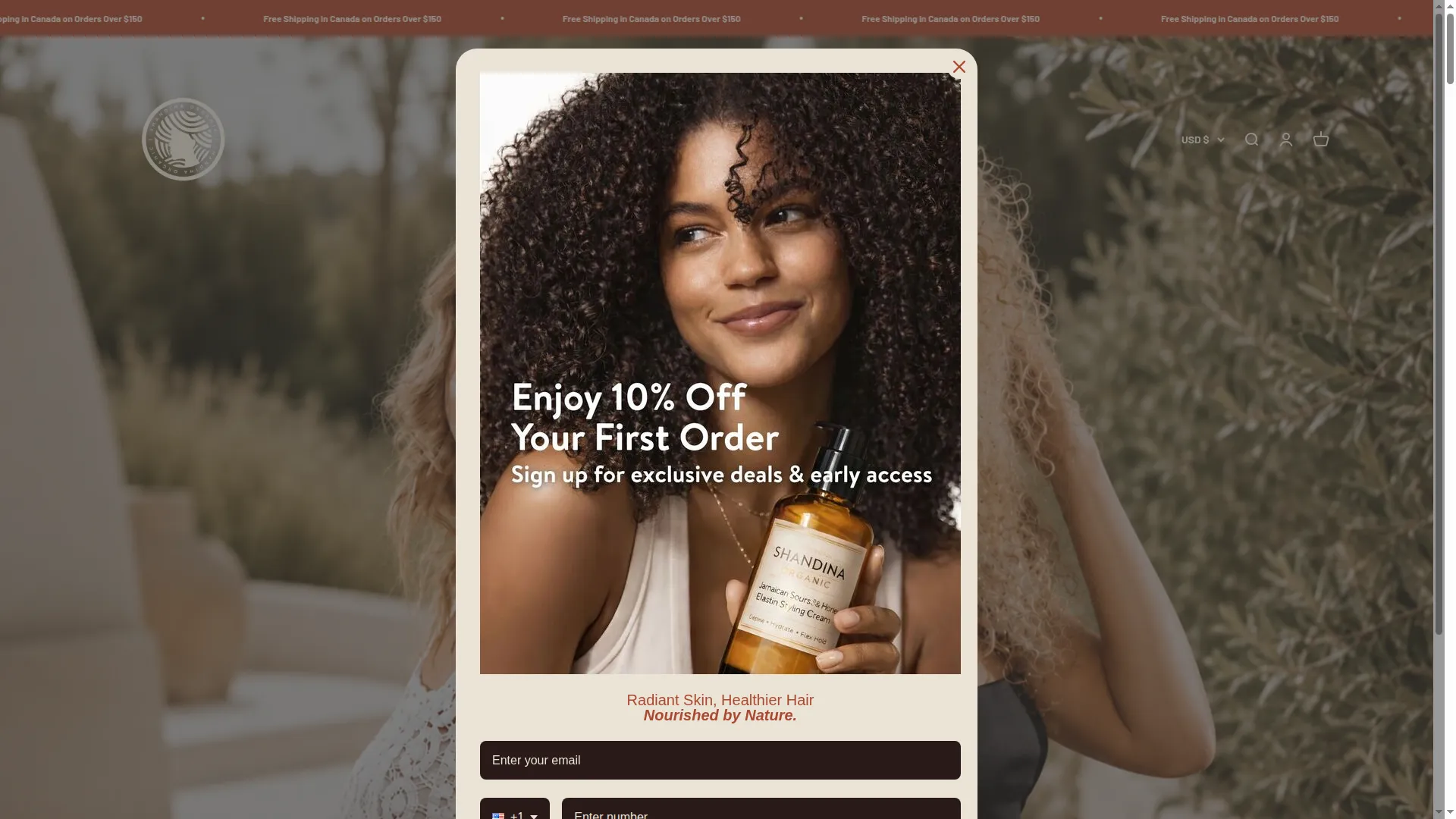 Shandina.com