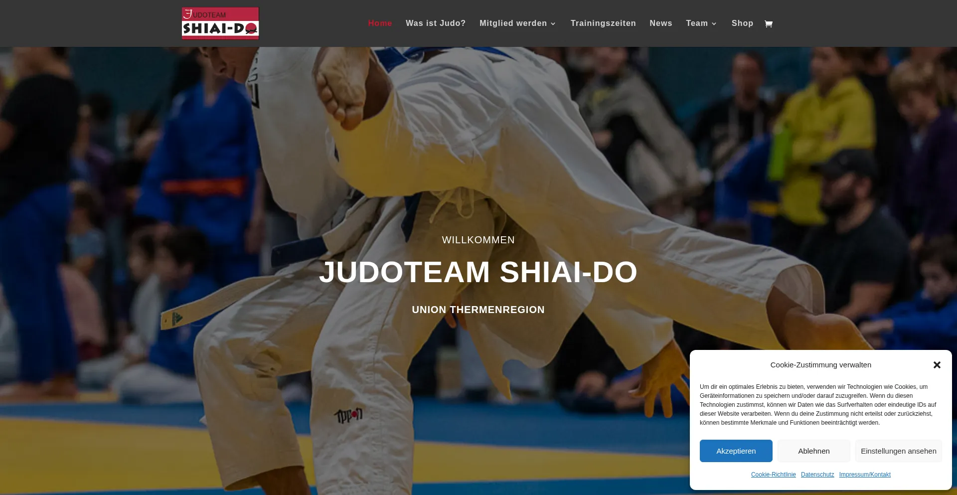 Website screenshot of Shiaido.at