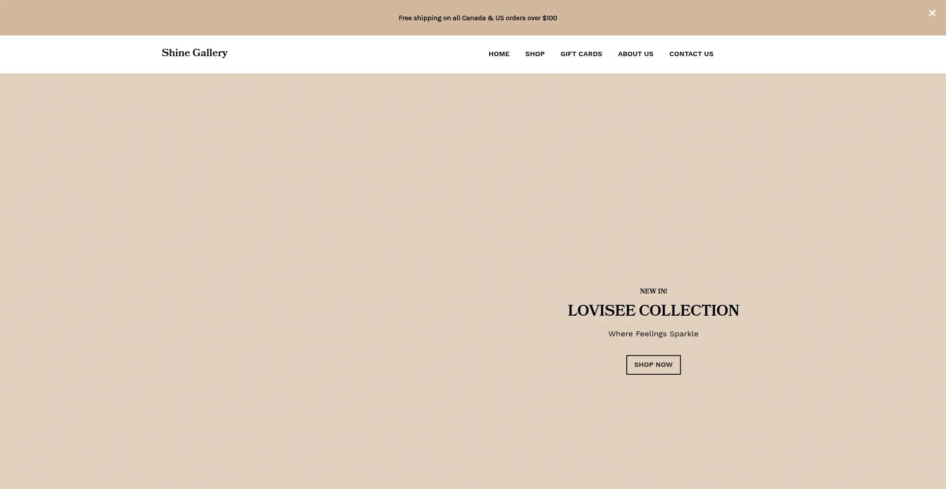 Website screenshot of Shinegallery.ca