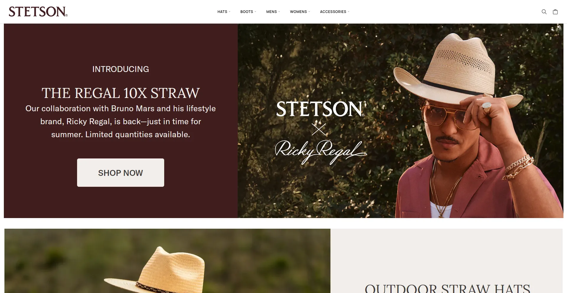 Website screenshot of Shop.buystetsononline.vip