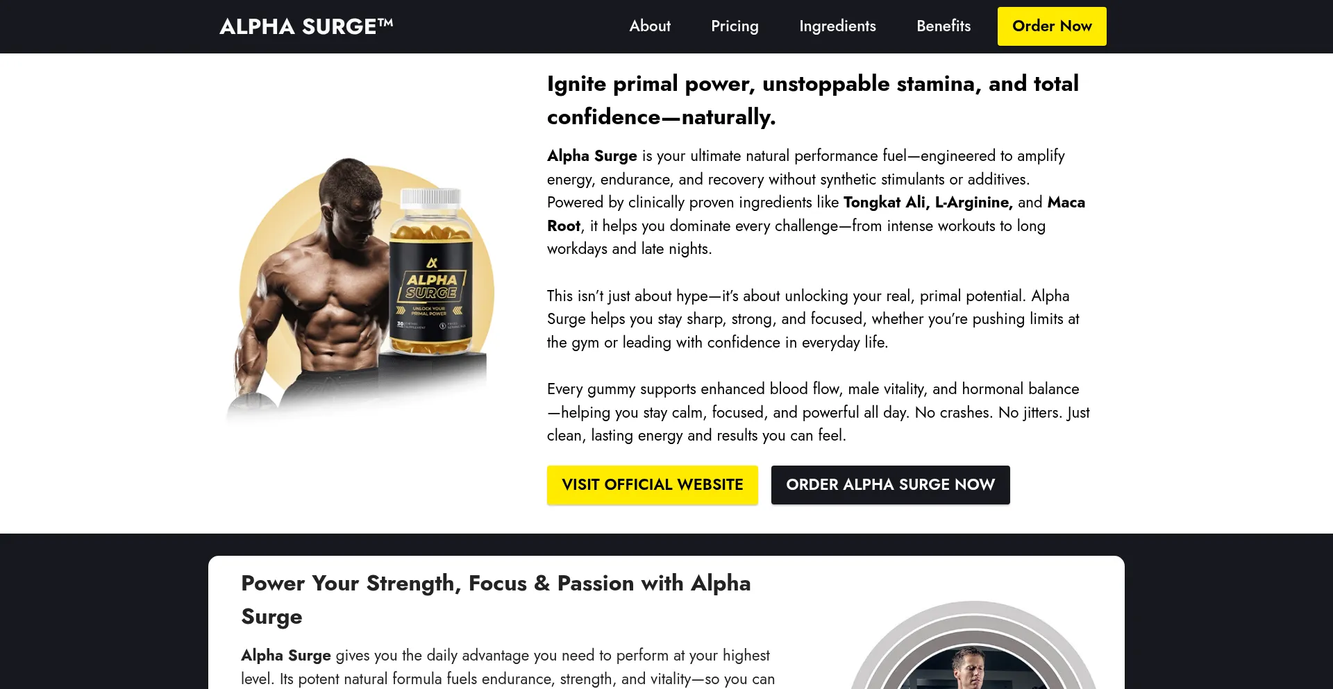Shop-alphasurge.us