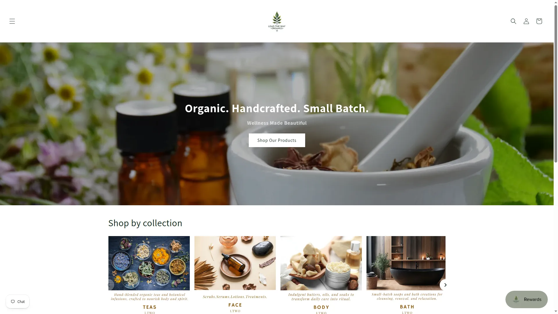Shopleadtheway.com