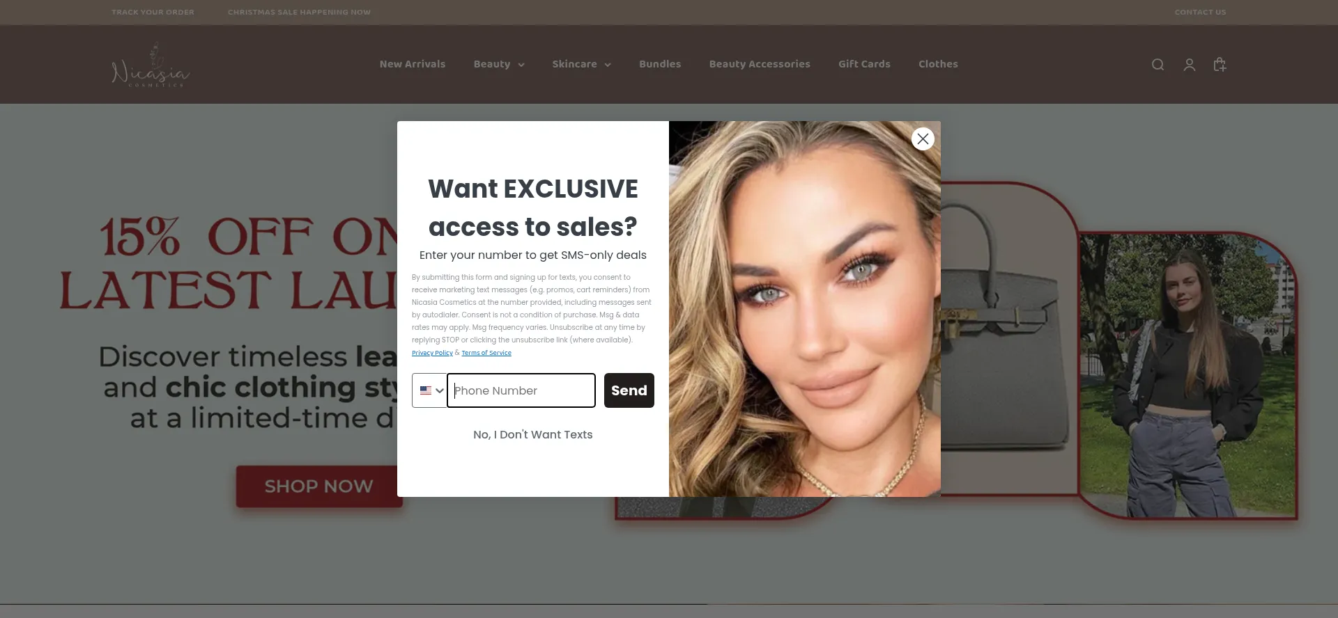 Website screenshot of Shopnicasia.com
