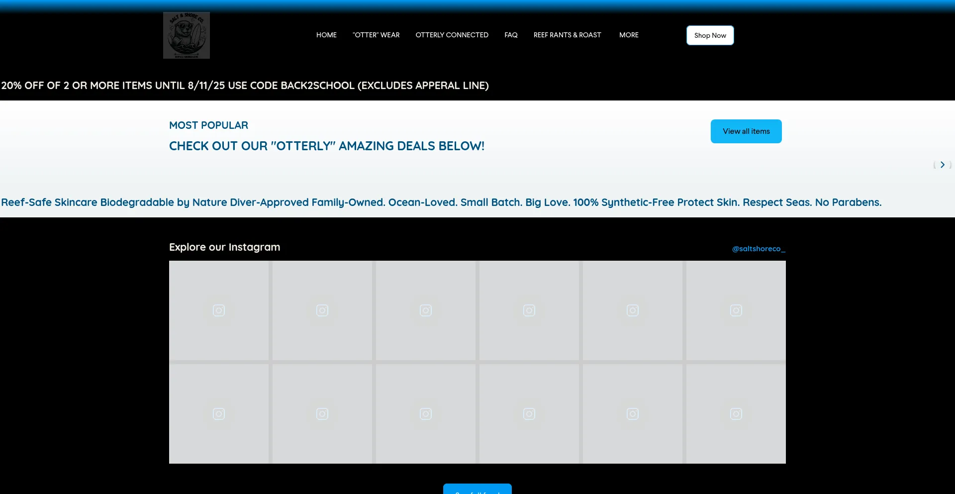 Website screenshot of Shopsaltshoreco.com