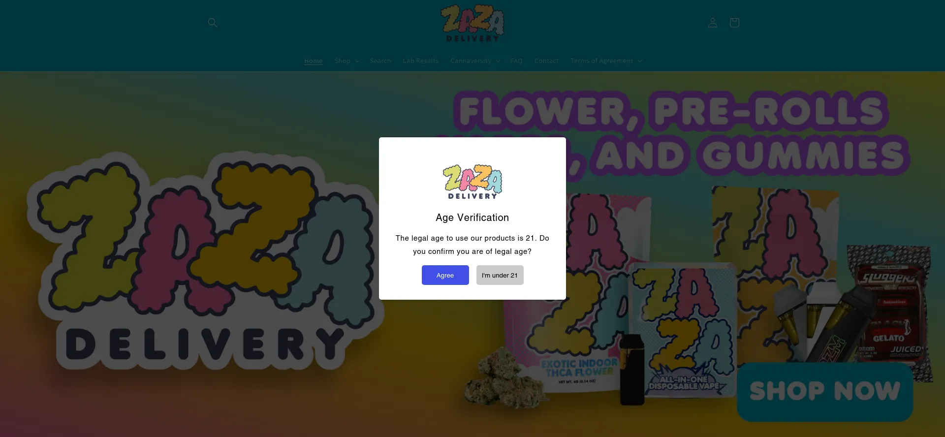 Website screenshot of Shopzazadelivery.com