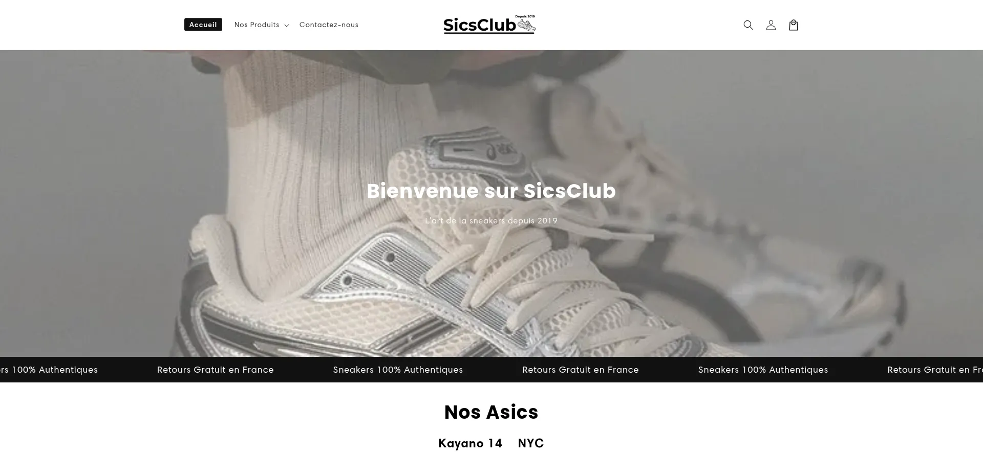 Website screenshot of Sicsclub.com
