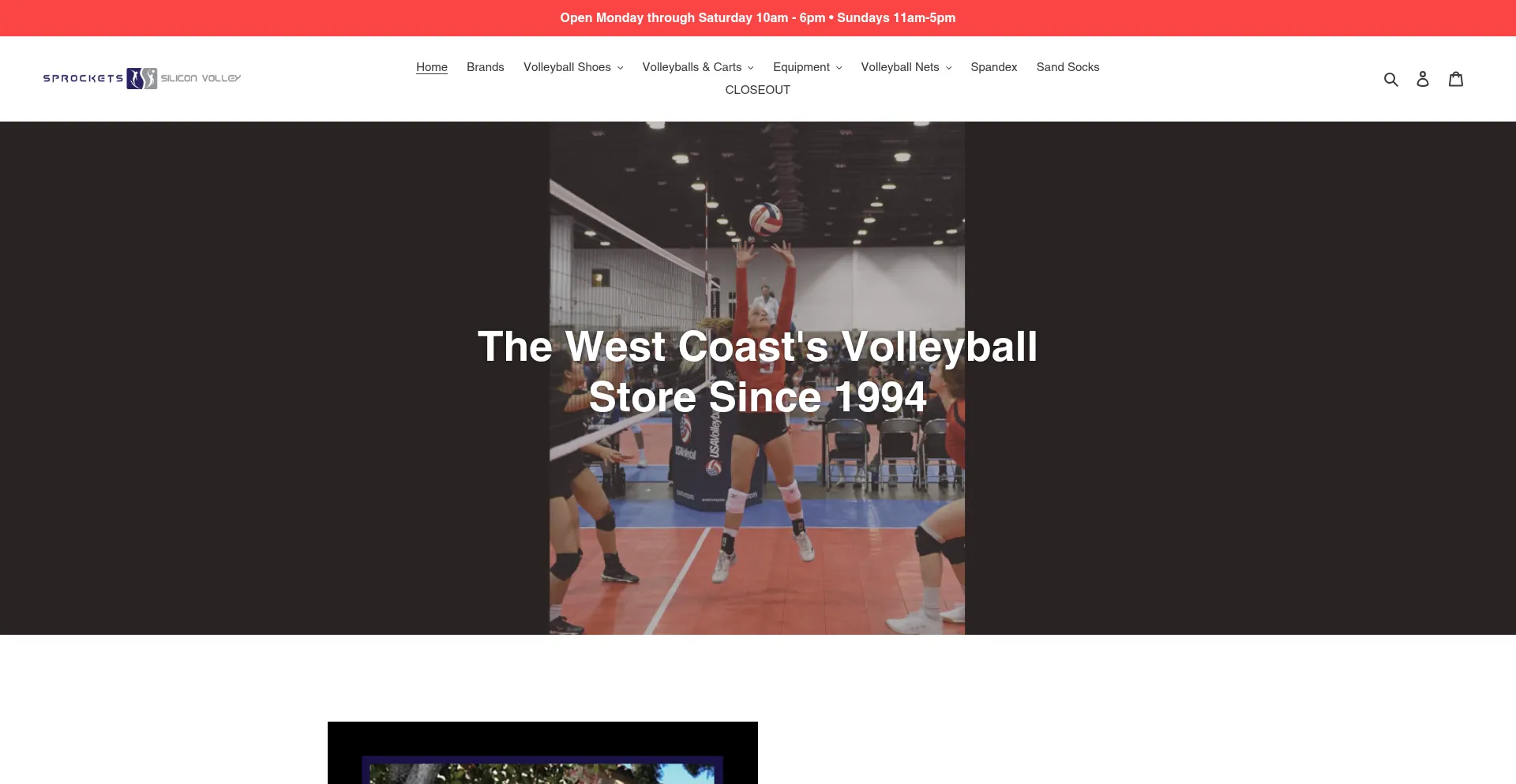 Website screenshot of Siliconvolley.com