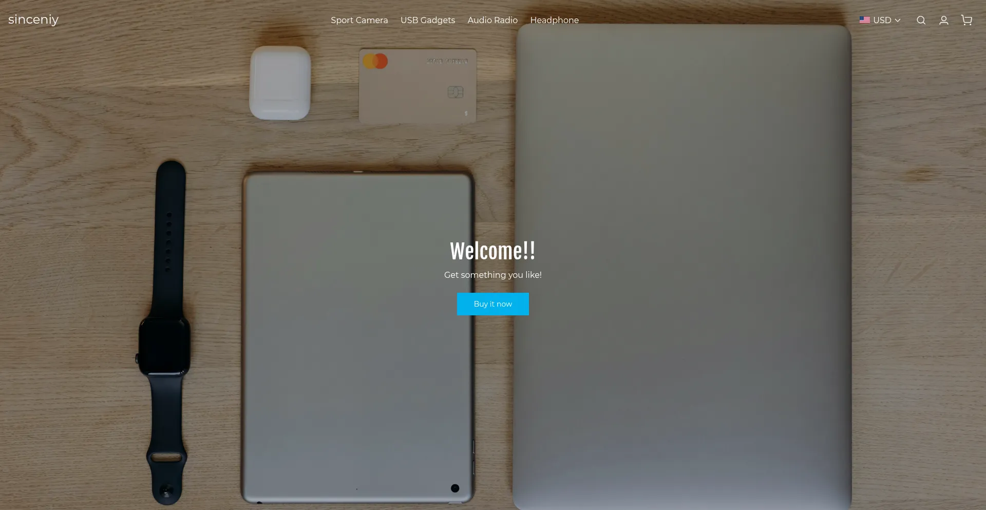 Website screenshot of Sinceniy.com
