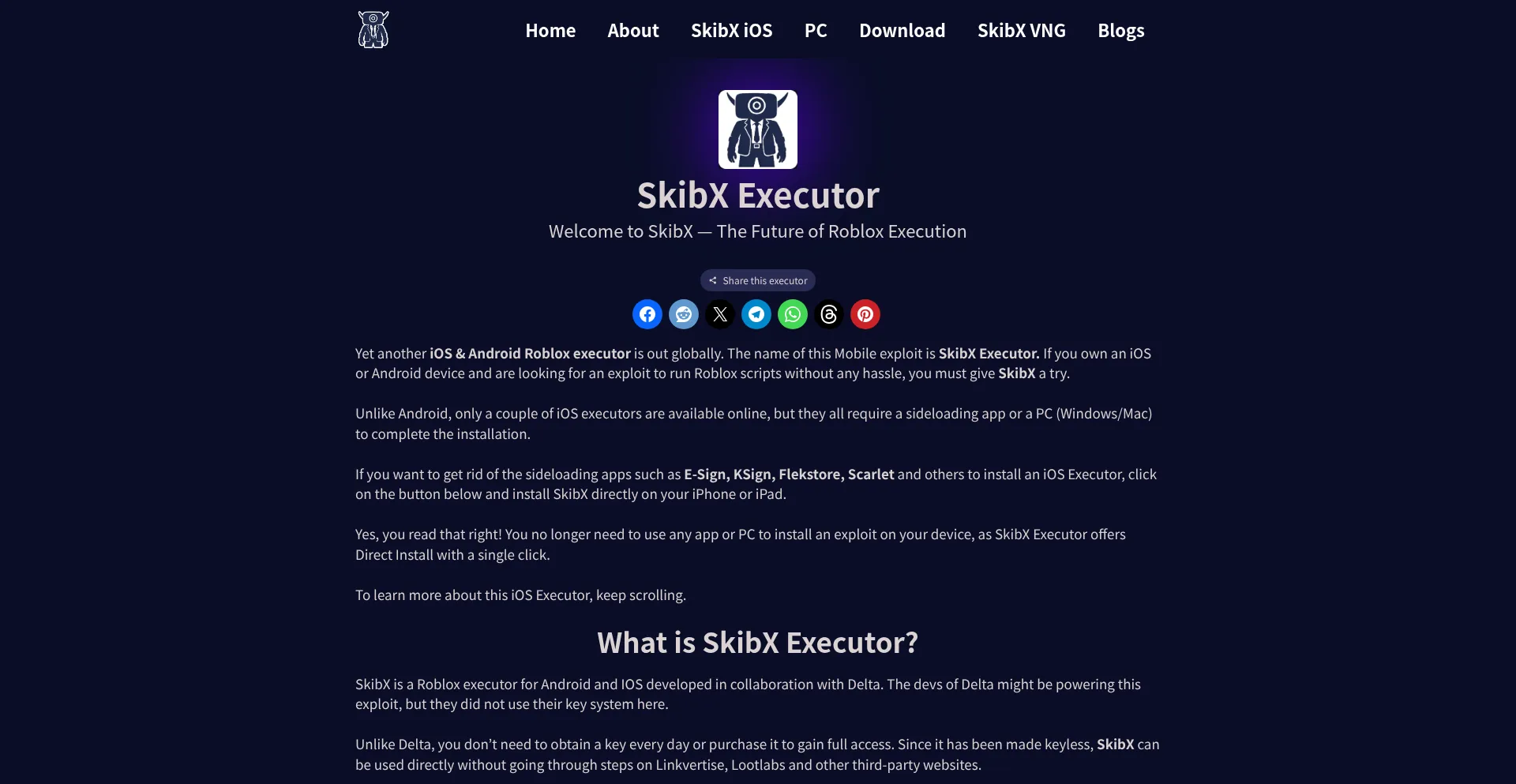 Skibx-executor.com