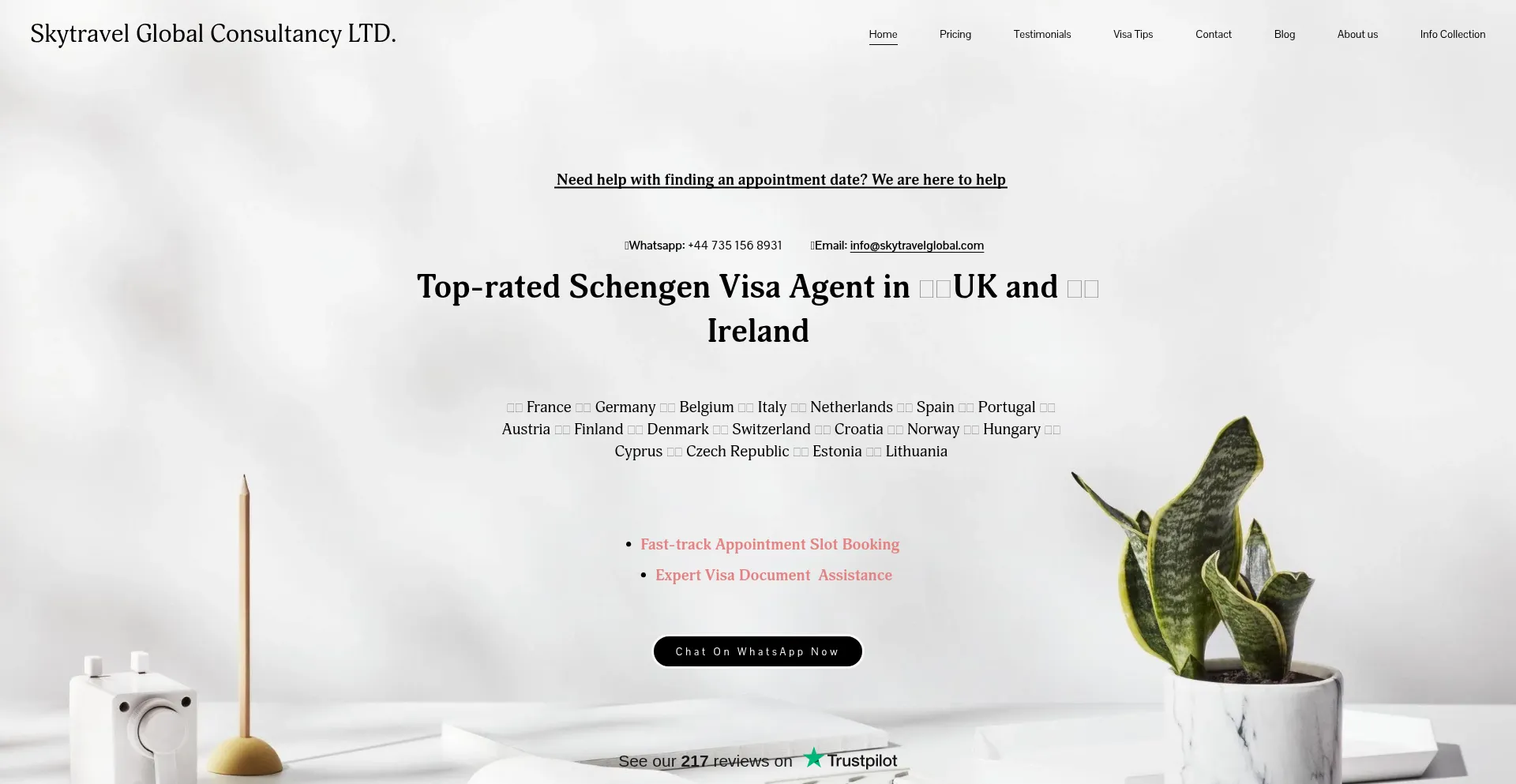 Website screenshot of Skytravelglobal.com