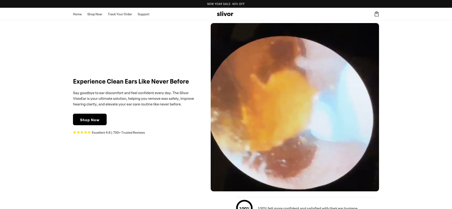 Website screenshot of Slivor.com