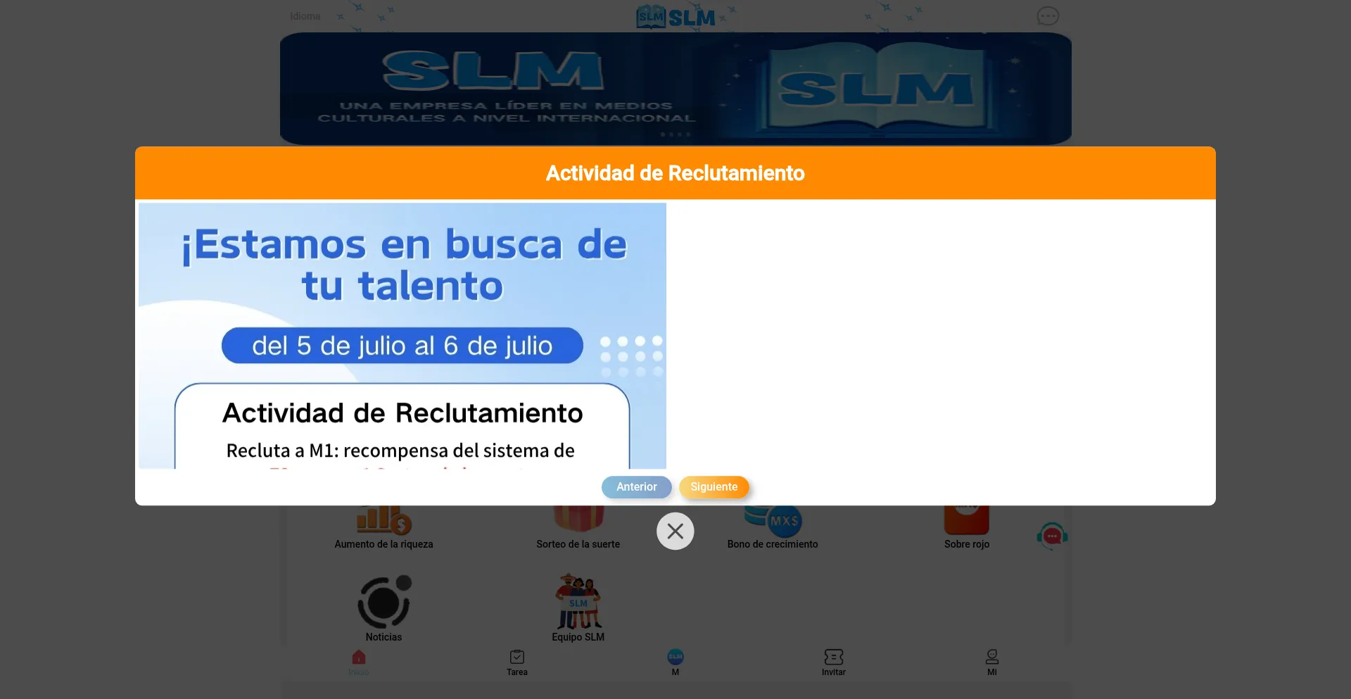 Website screenshot of Slmyj.com