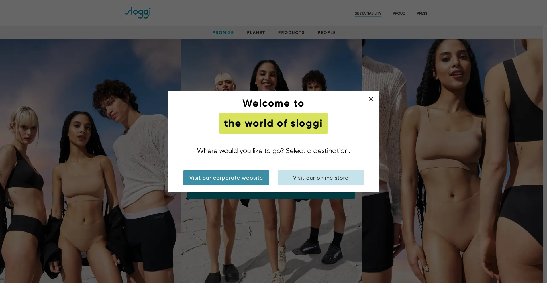 Website screenshot of Sloggi.com