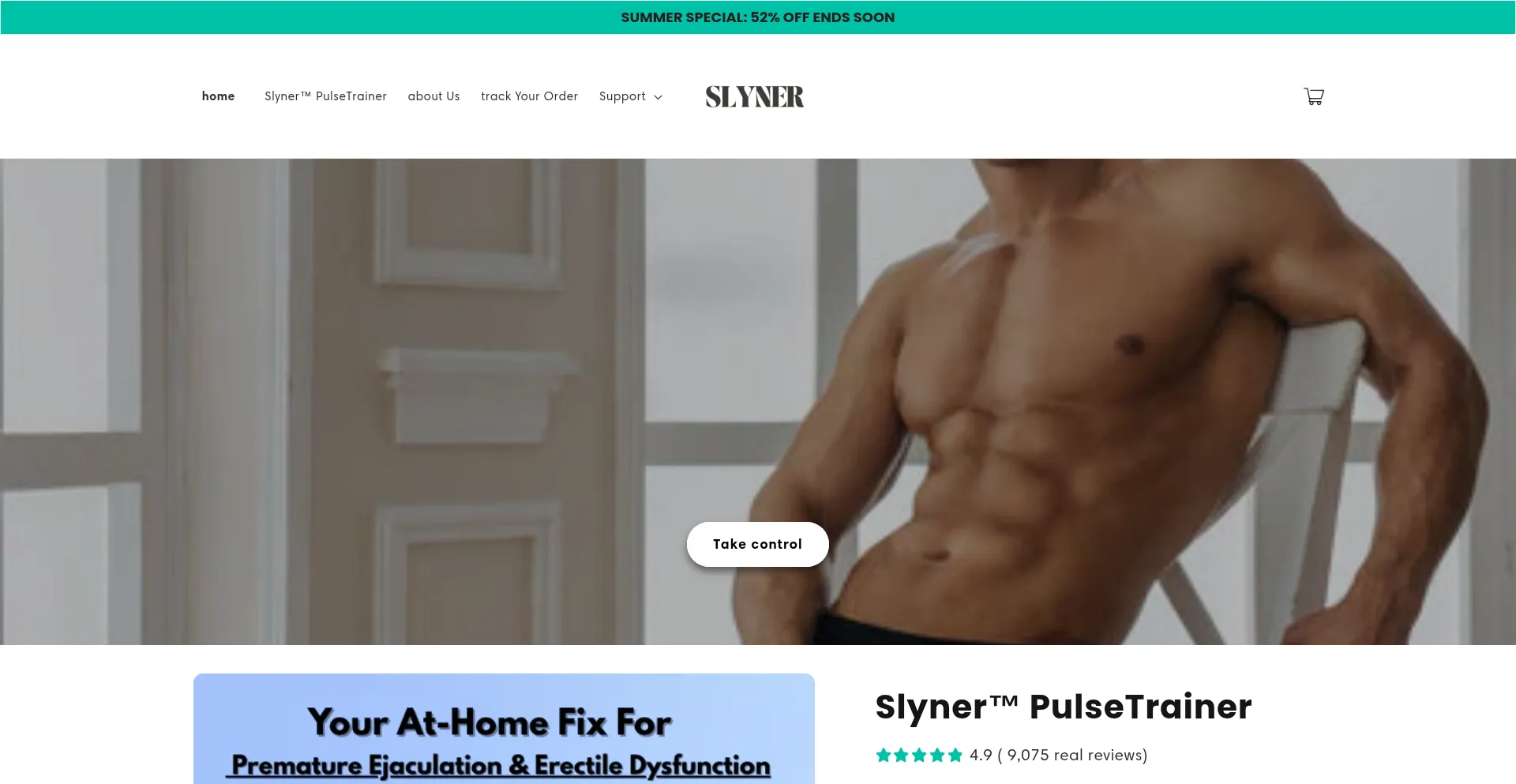 Website screenshot of Slyner.com