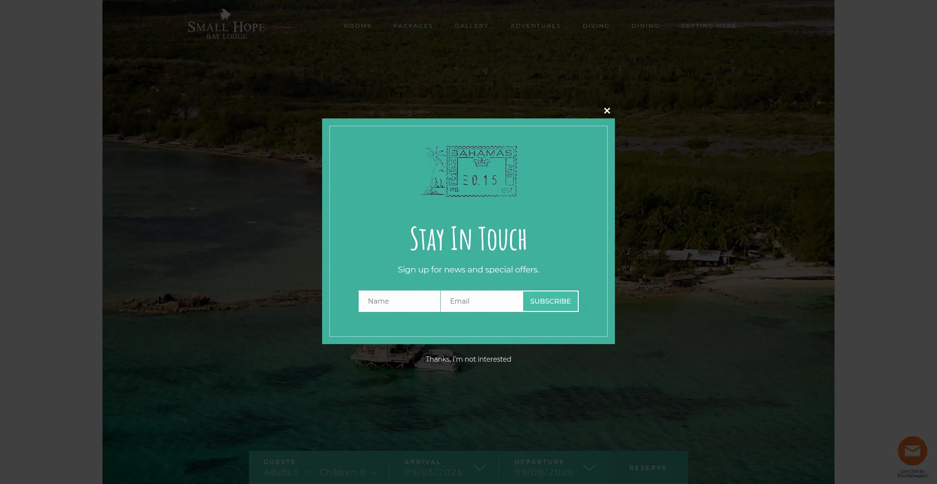 Website screenshot of Smallhope.com