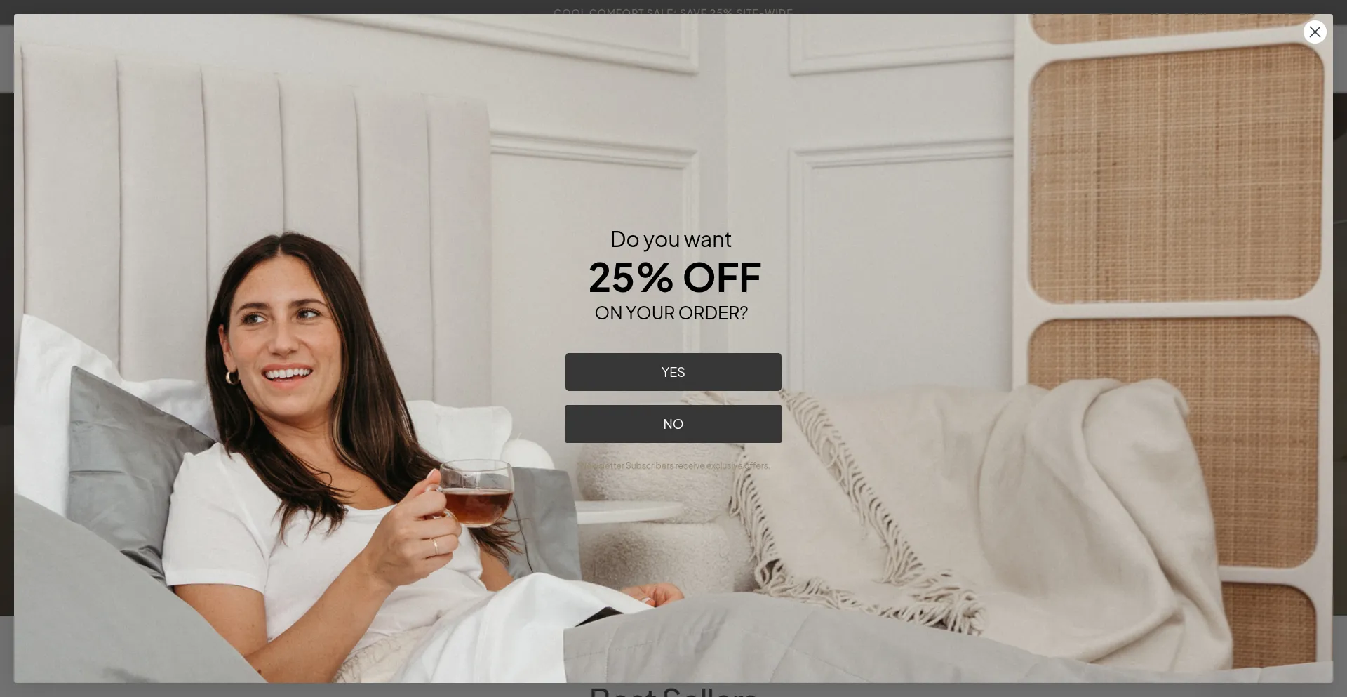 Website screenshot of Smartsilk.com