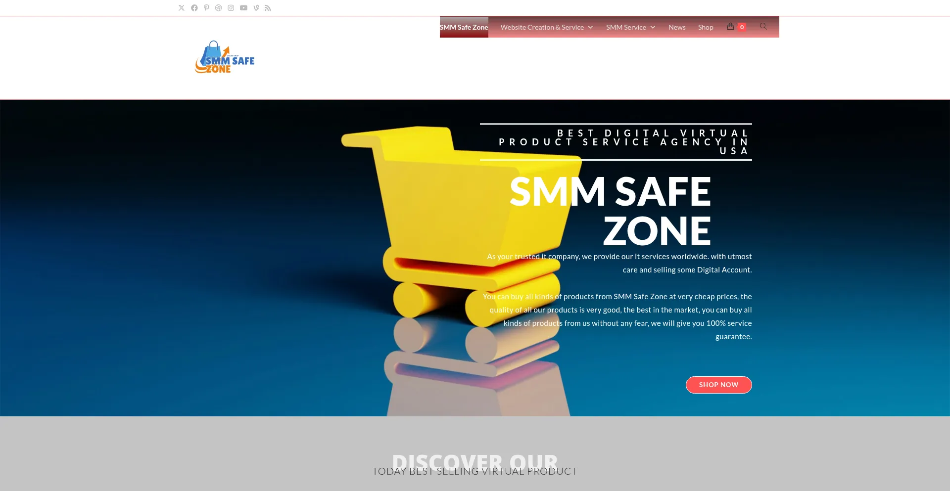 Smmsafezone.com