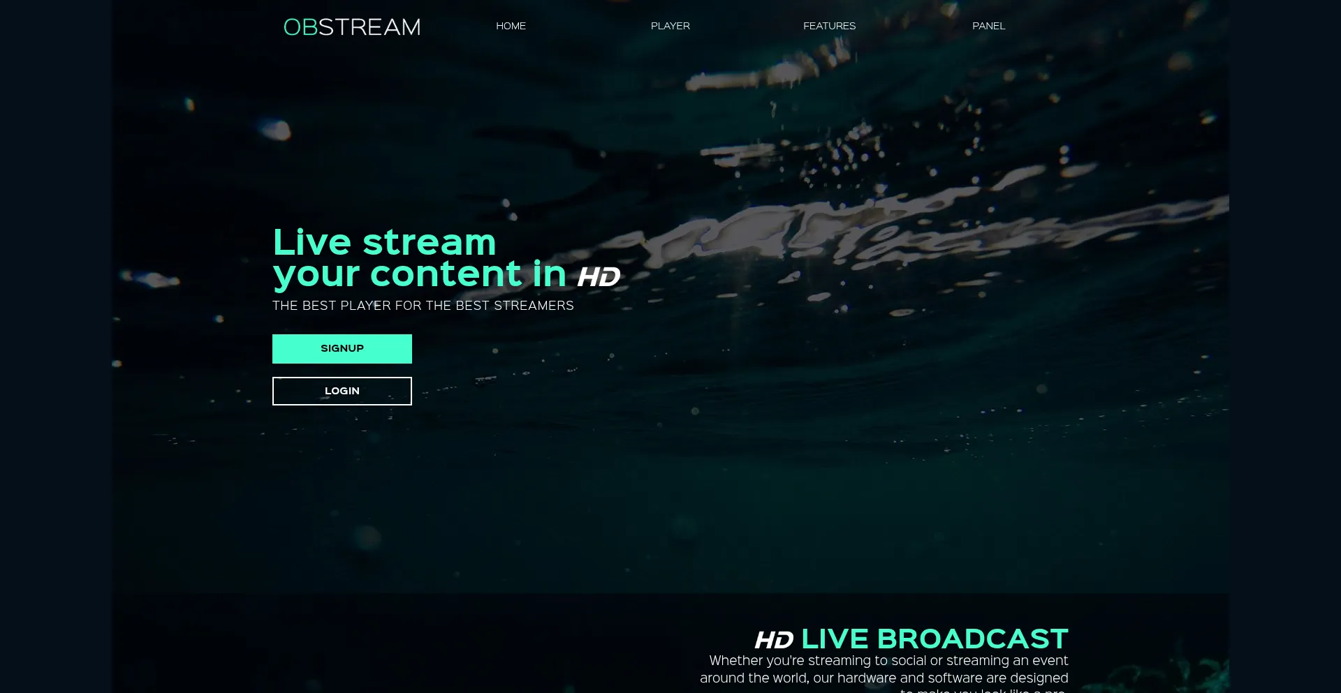 Website screenshot of Snakegrace.net