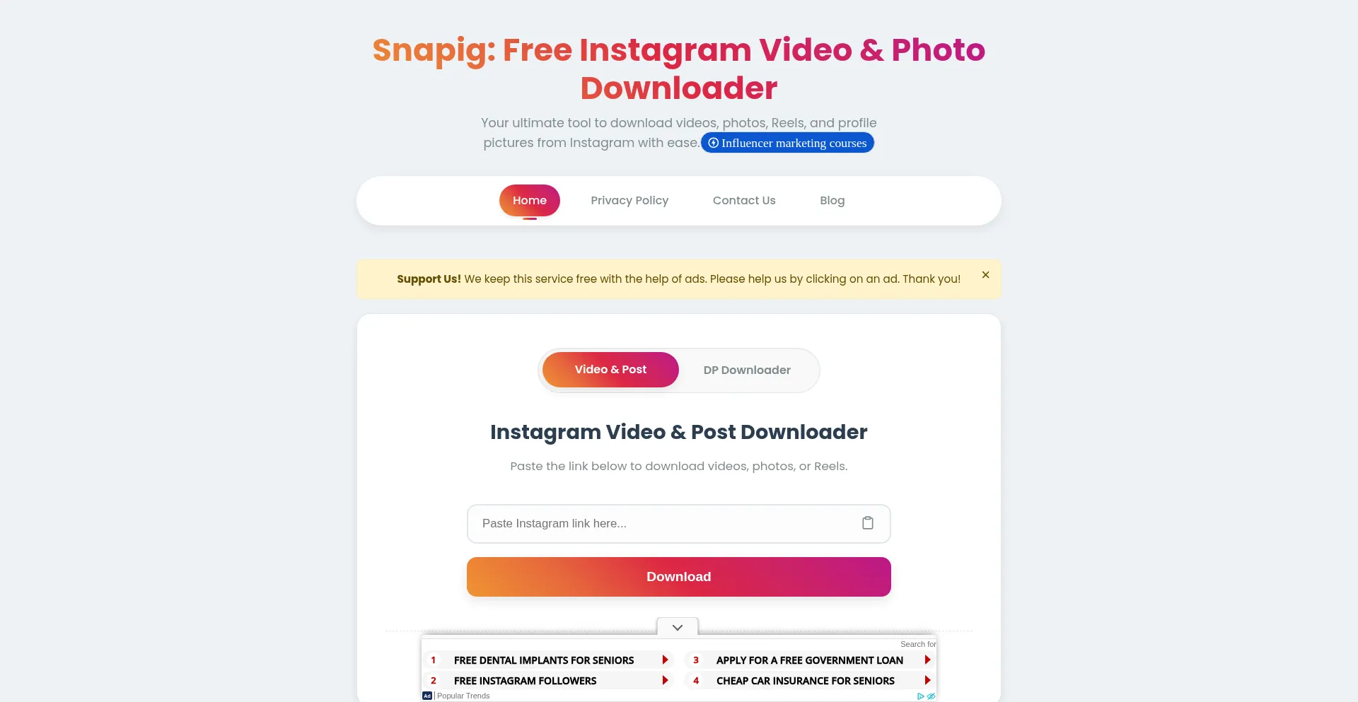 Website screenshot of Snapig.org