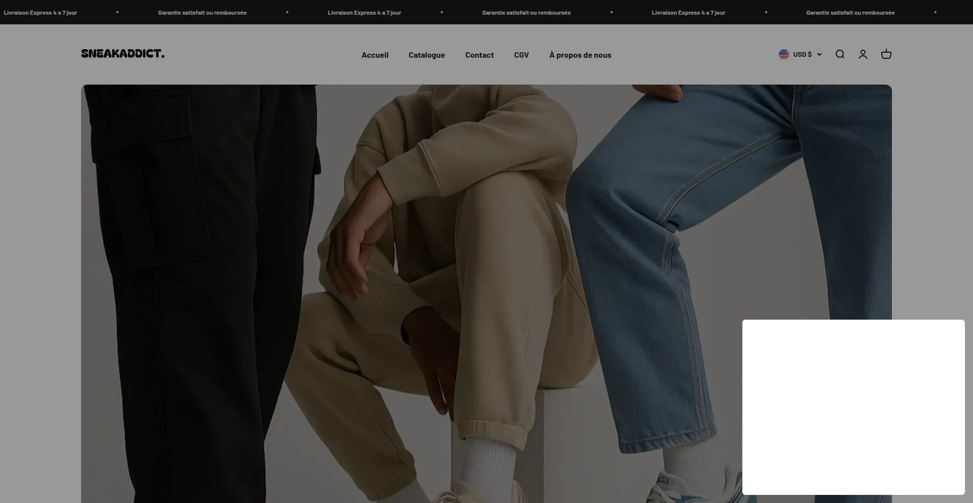 Website screenshot of Sneakaddict.online