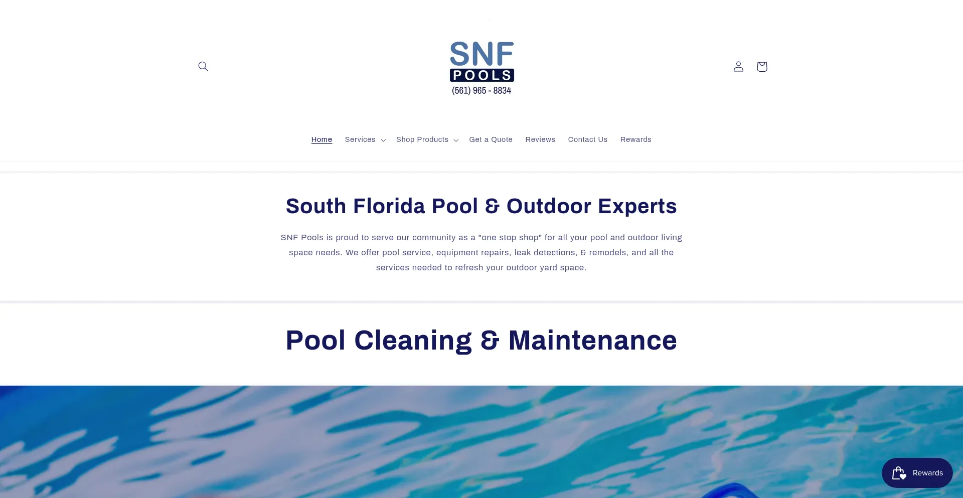 Website screenshot of Snfpools.com