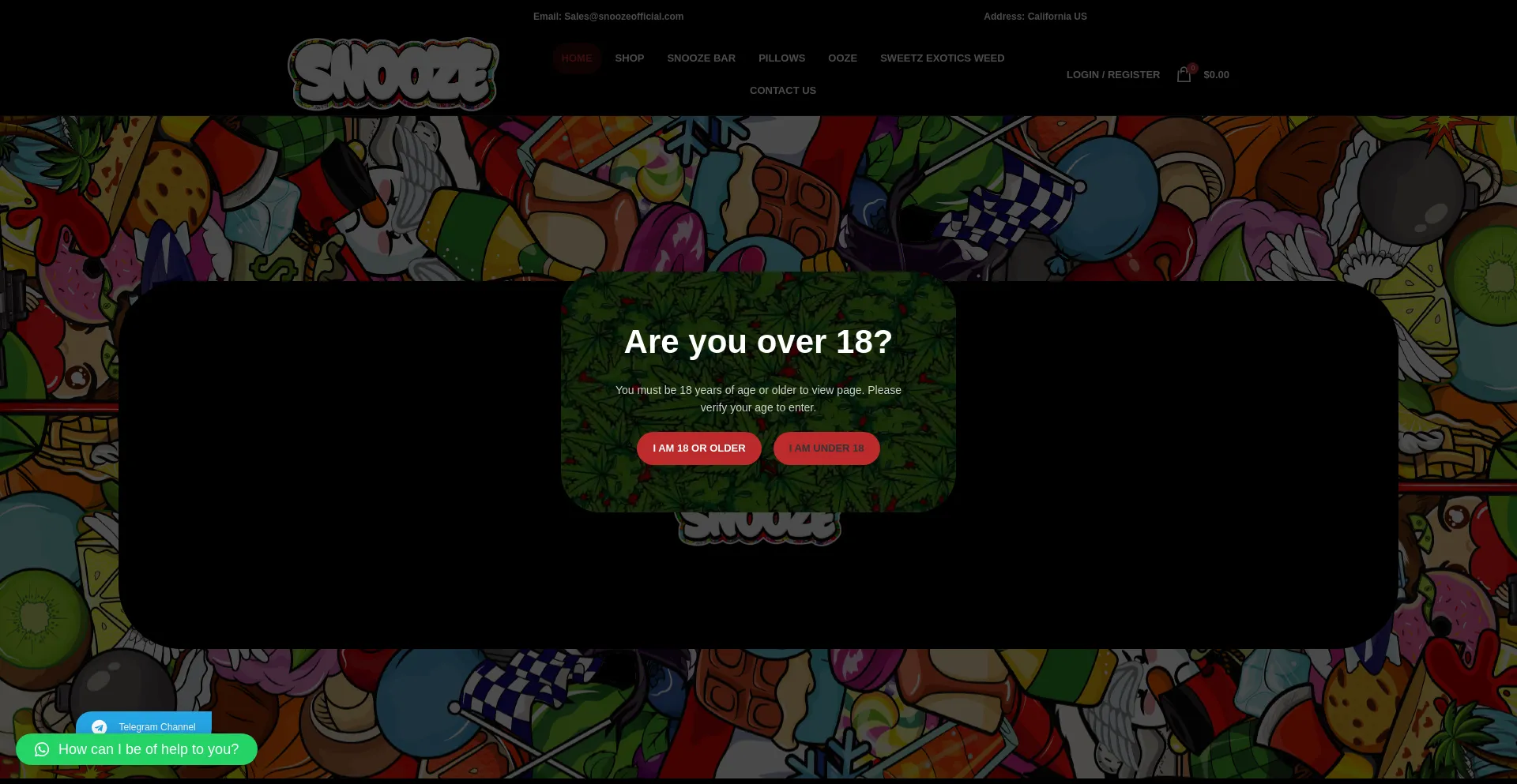 Website screenshot of Snoozeofficial.com