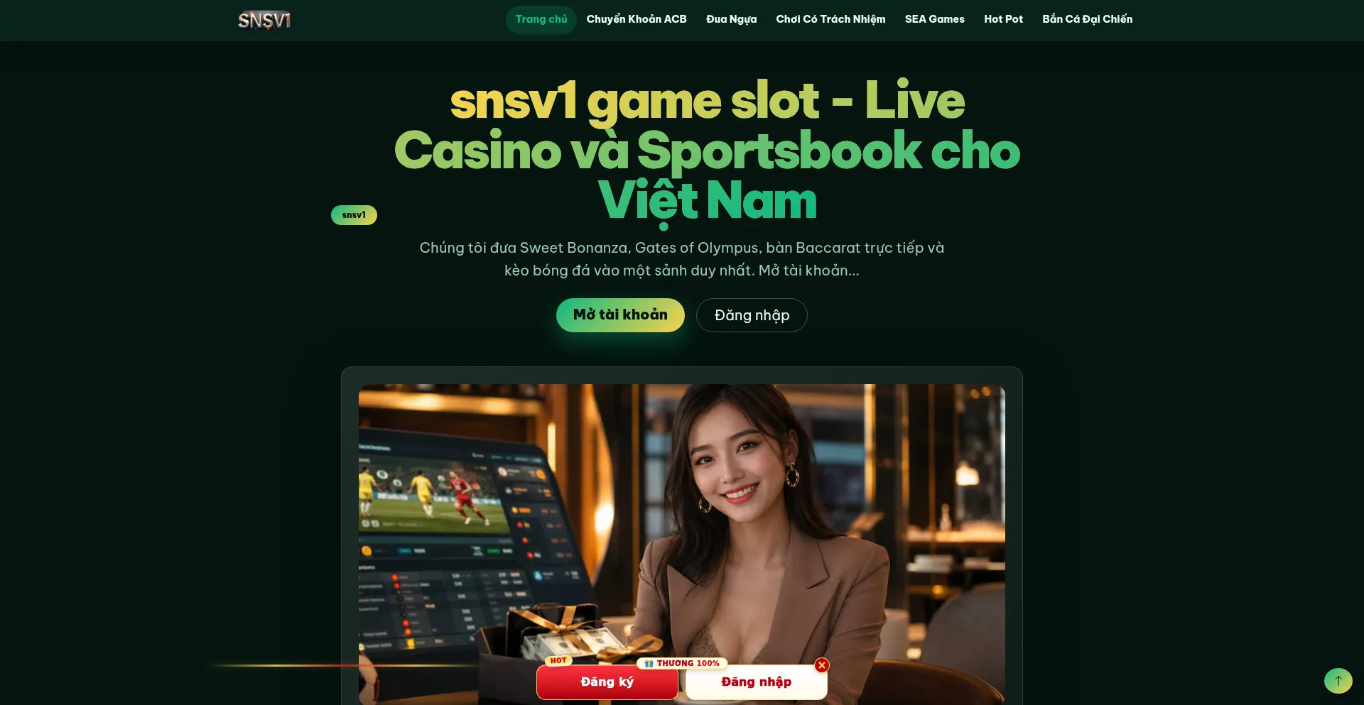 Snsv1.net