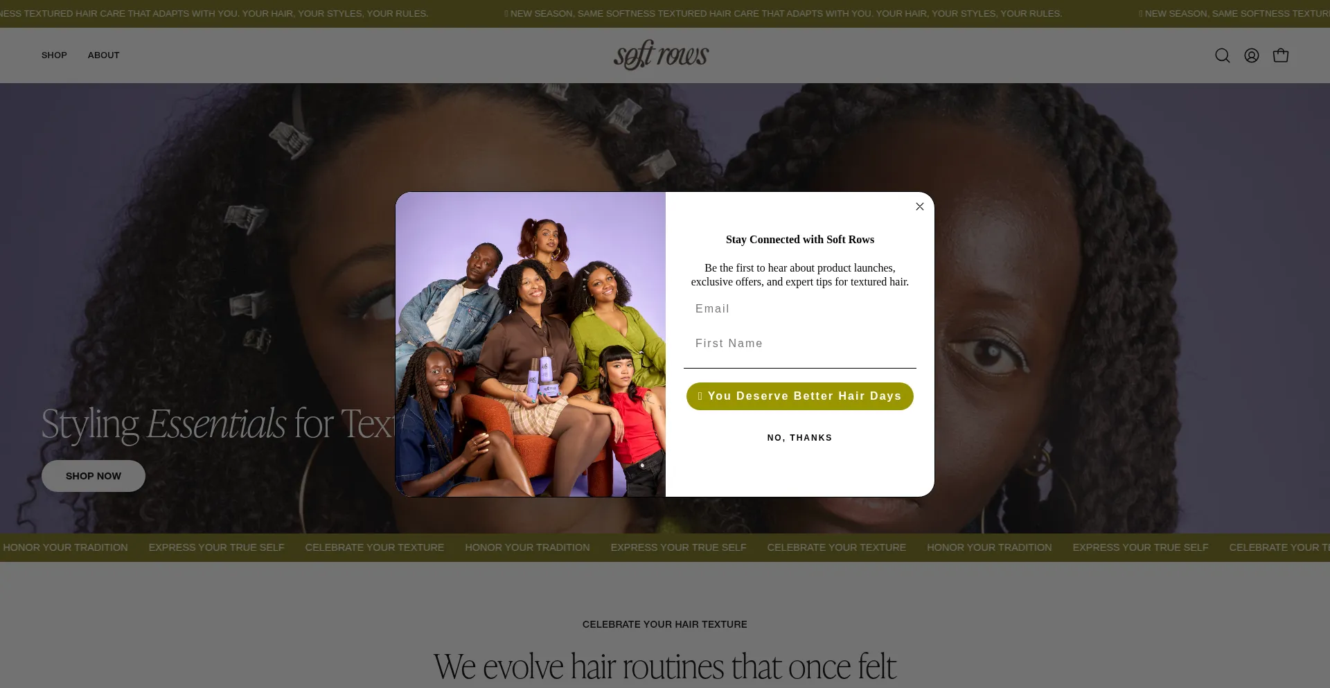 Website screenshot of Softrows.com