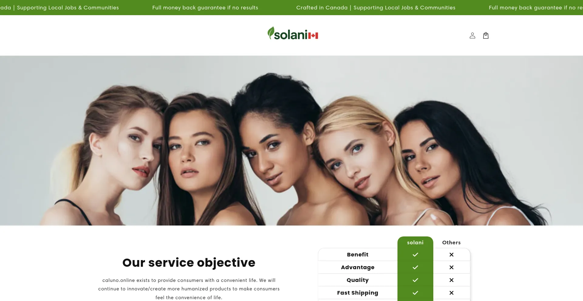 Website screenshot of Solani.online