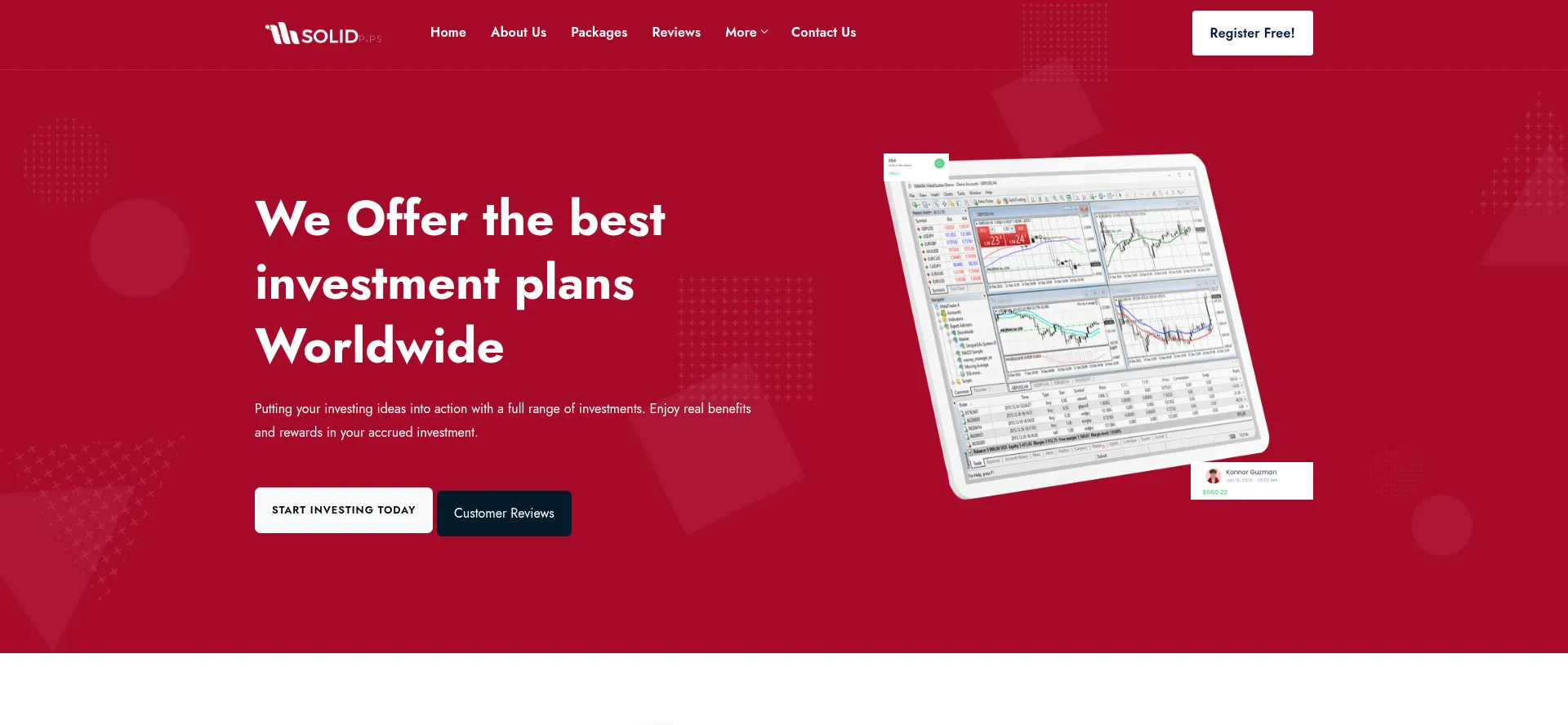 Website screenshot of Solidpips.net