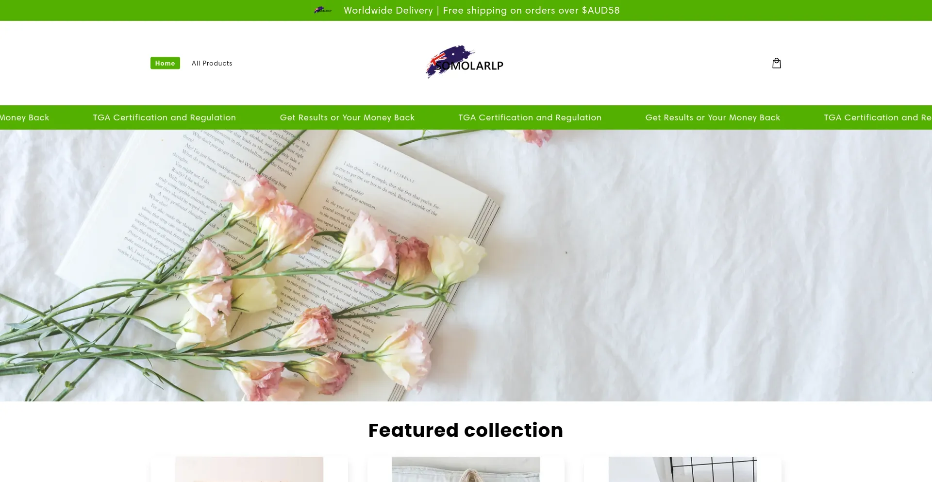 Website screenshot of Somoulio.com