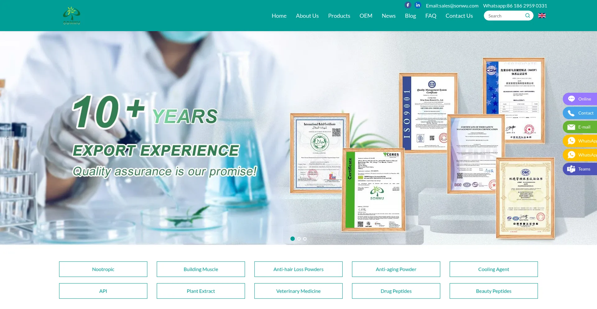 Website screenshot of Sonwuapi.com