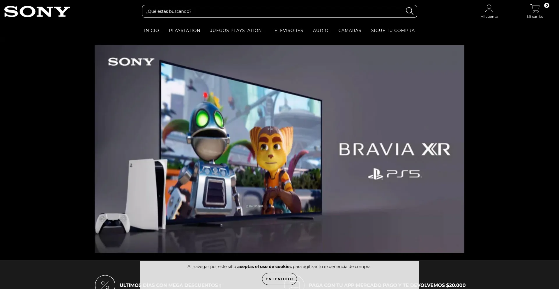 Website screenshot of Sonychile.com