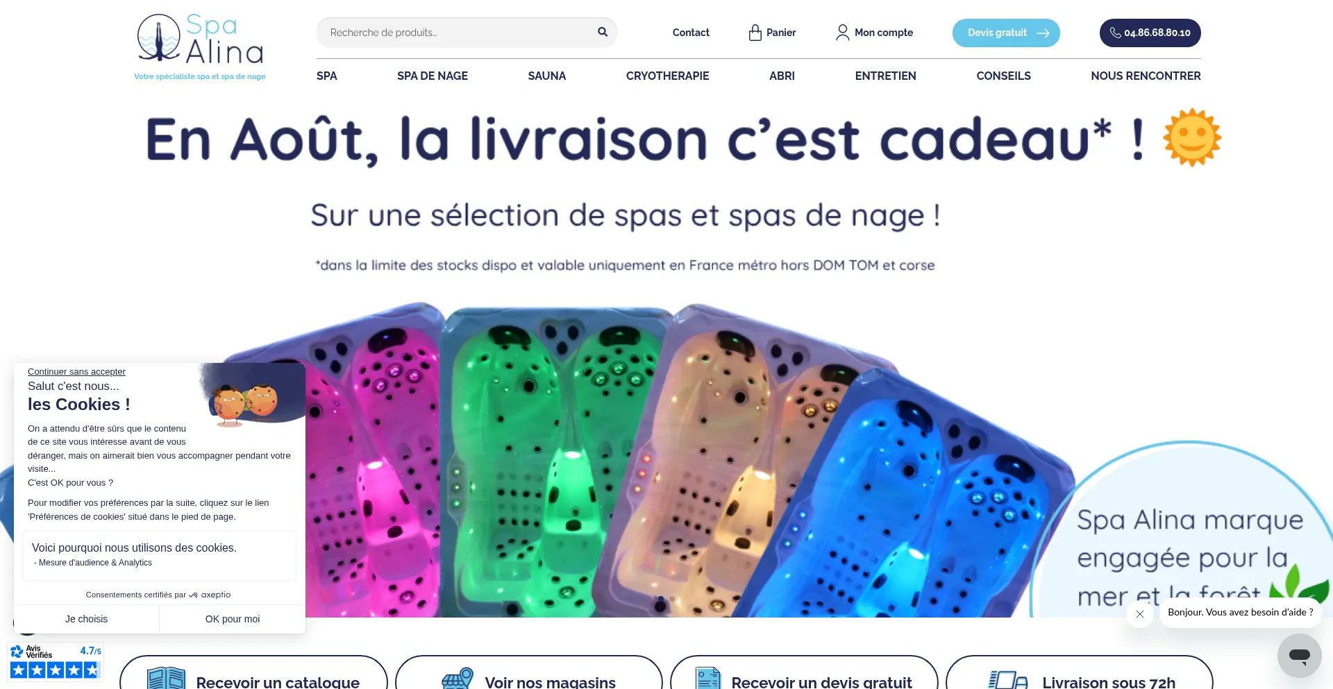 Website screenshot of Spa-alina.com