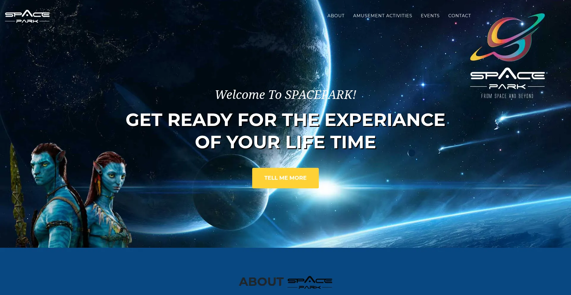 Website screenshot of Spacepark.lk