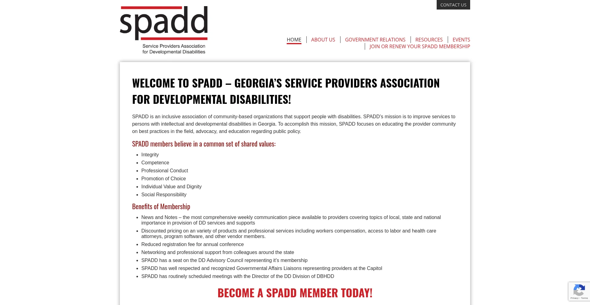 Website screenshot of Spadd.org