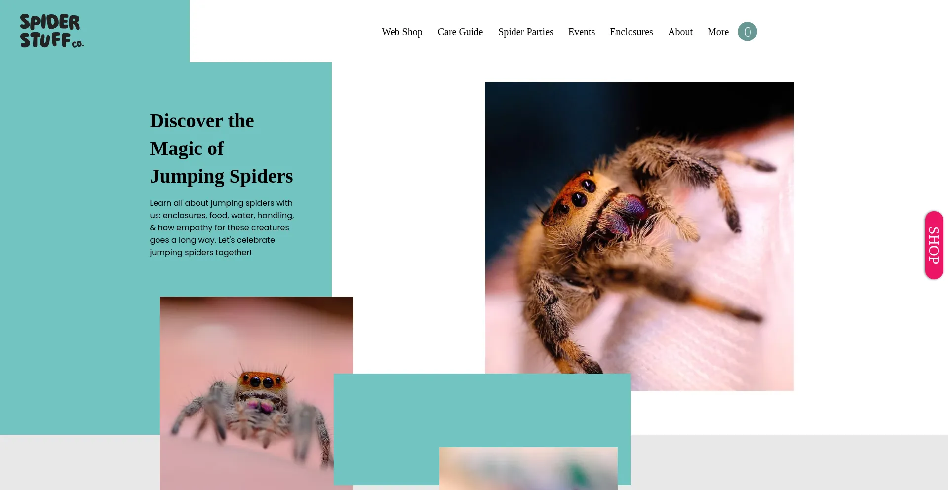Spiderstuff.co
