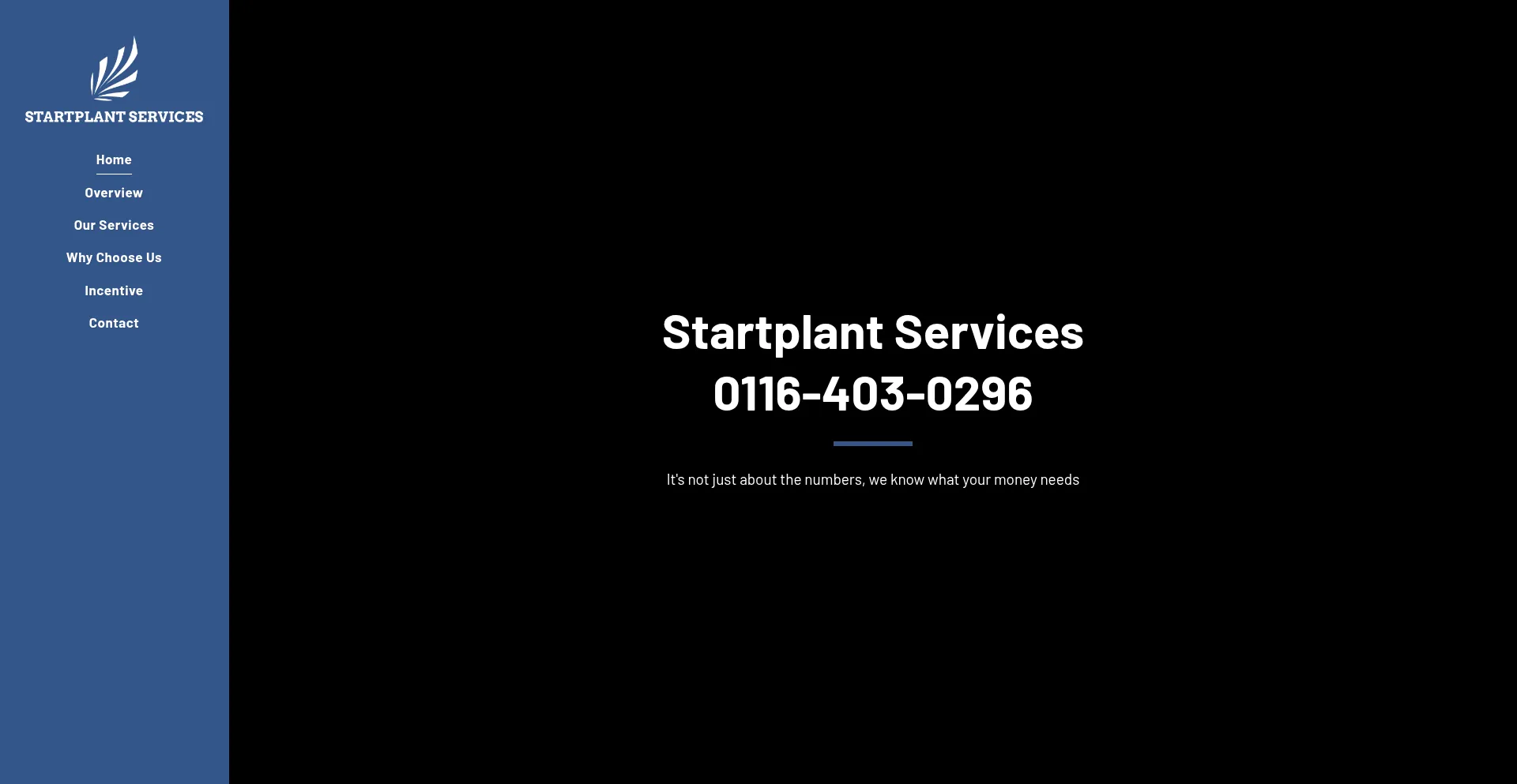 Website screenshot of Splantsercices.com