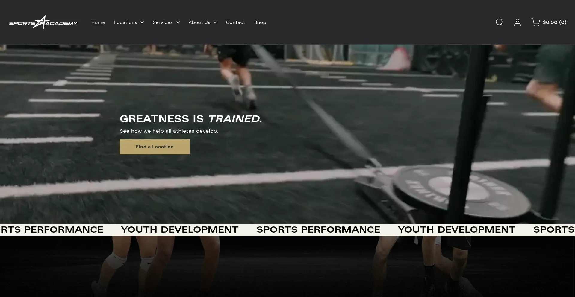 Website screenshot of Sportsacademy.us