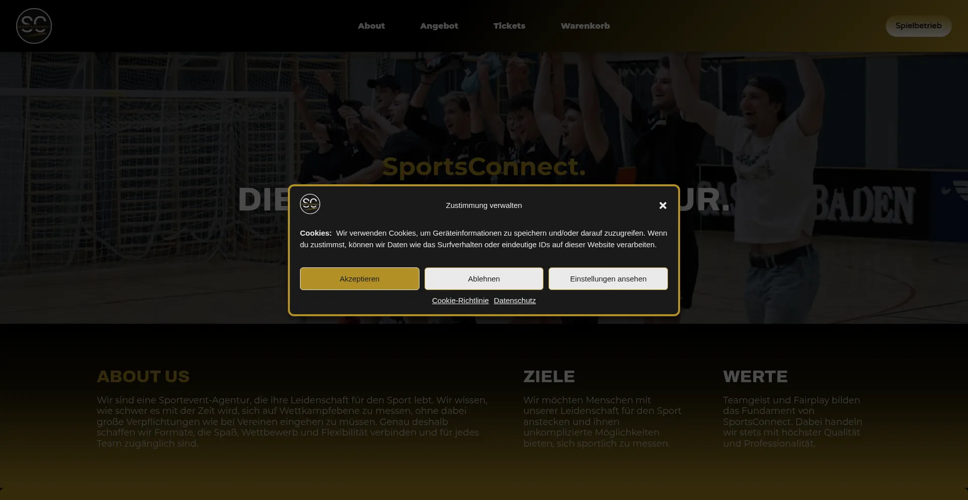 Website screenshot of Sportsconnect.at