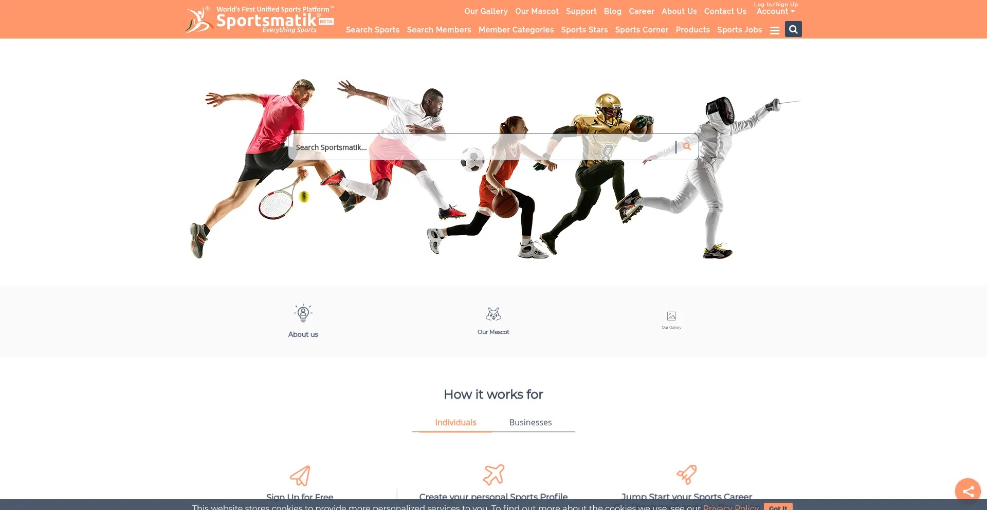 Website screenshot of Sportsmatik.com