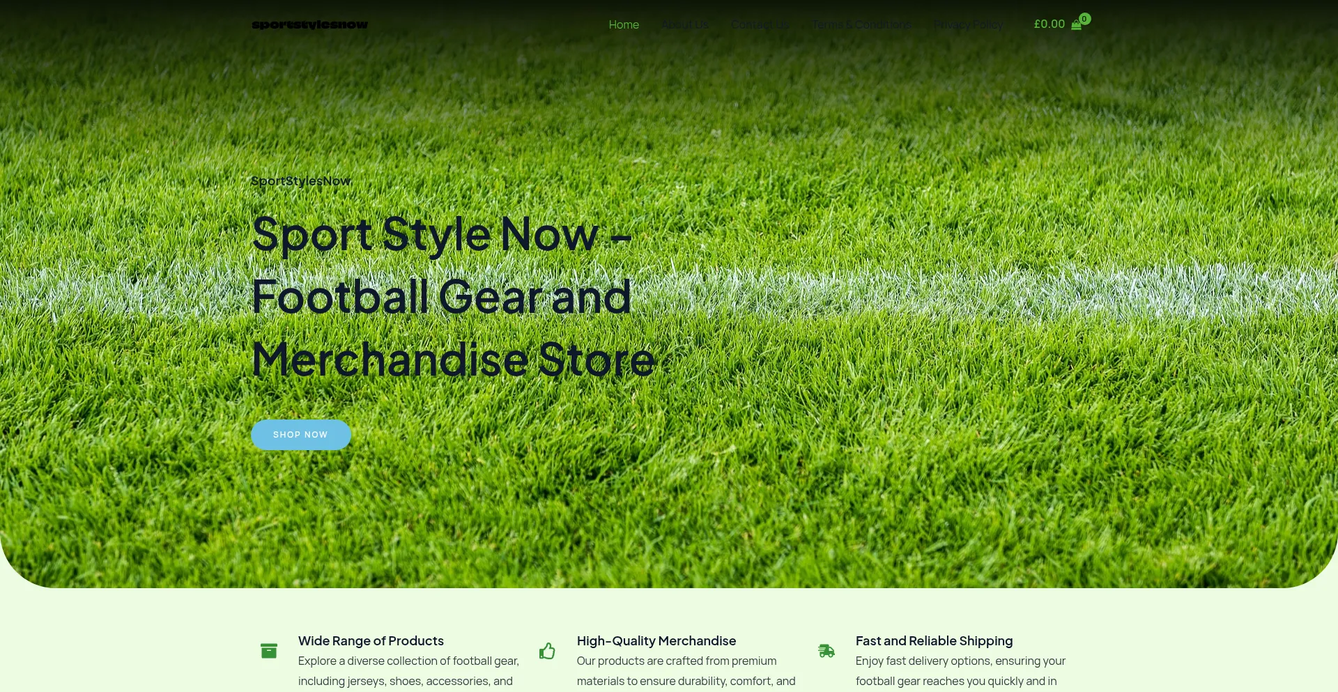 Sportstylesnow.com