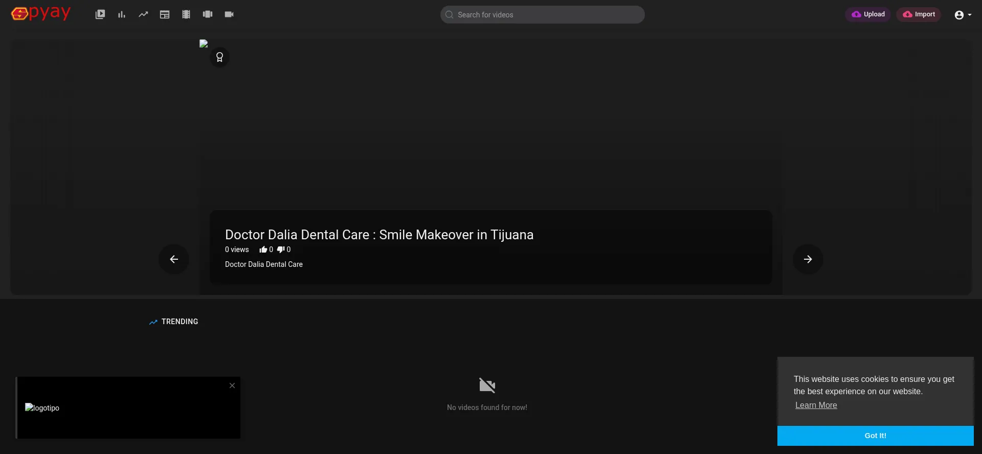 Website screenshot of Spyay.com