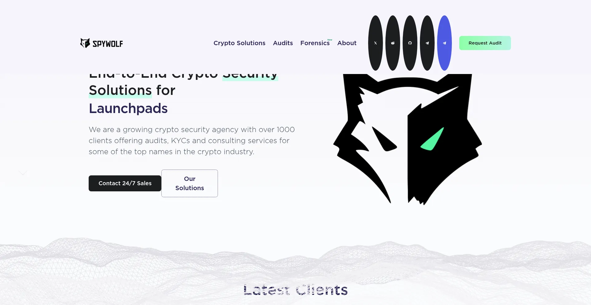 Website screenshot of Spywolf.co