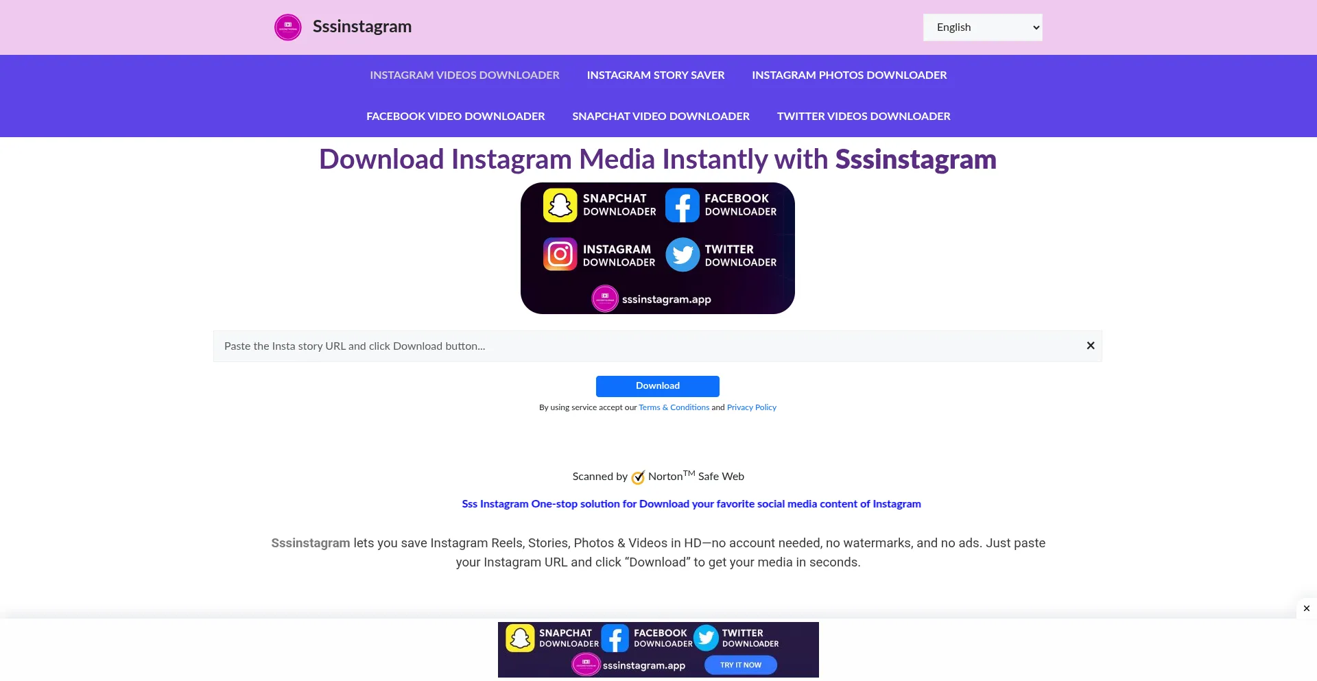 Website screenshot of Sssinstagram.app